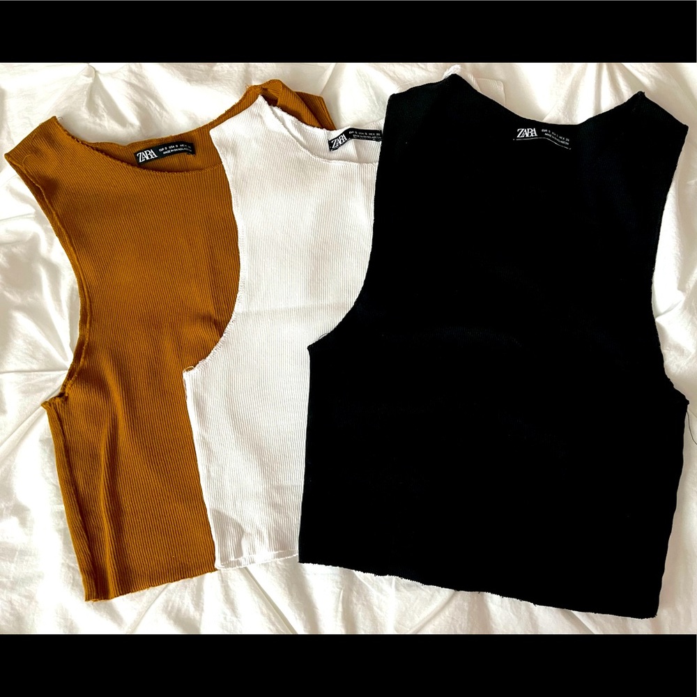 Zara Crop Tops